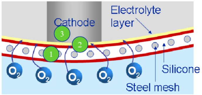 1732170681200953.png 圖片8.png